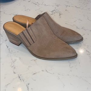 AEO WESTERN MULE